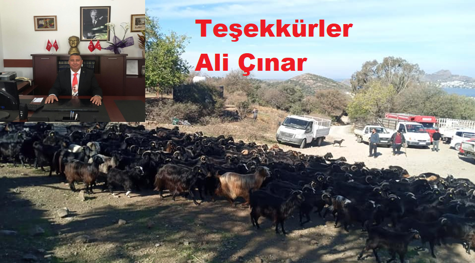 Sandıma işgalden kurtarıldı.