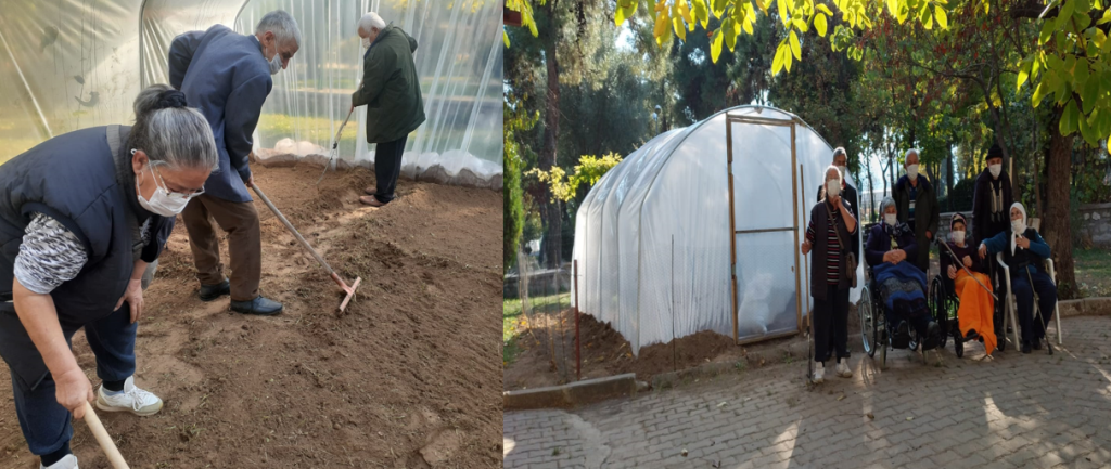 Huzurevi sakinleri sera kurup kendi sebzelerini kendileri üretiyor.