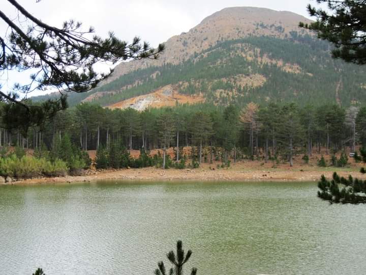 Sandras ölürse Muğla ölür