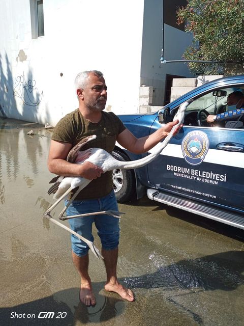 Sağlığı iyi doğal yaşama geri dönecek