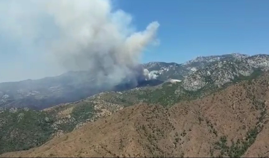 Datça’daki orman yangınına havadan ve karadan müdahale sürüyor