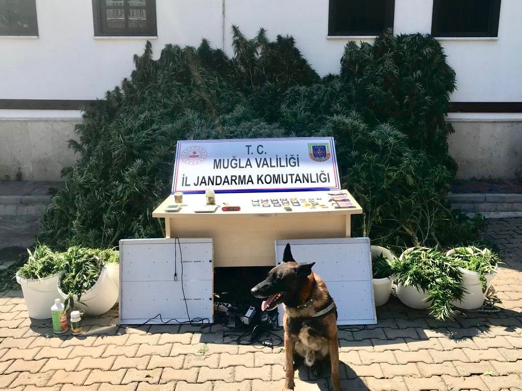 İkametlerinde uyuşturucu madde imal edip satan 2 şüpheli yakalandı