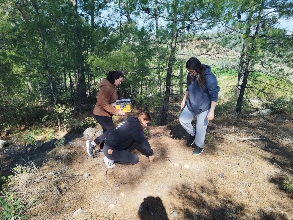 Muğla’da tohum bombaları toprakla buluştu