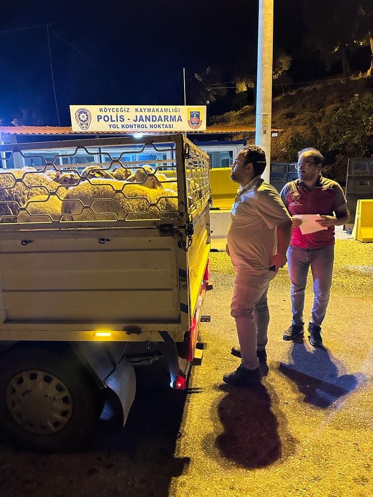 Köyceğiz’de hayvan sağlığı ile ilgili denetimler aralıksız sürüyor