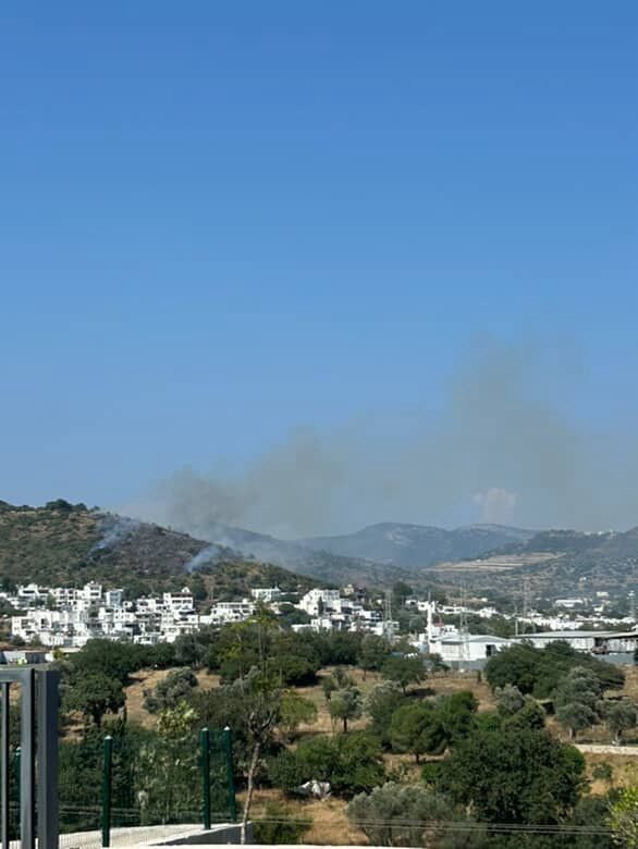 Bodrum’da makilik alanda yangın çıktı