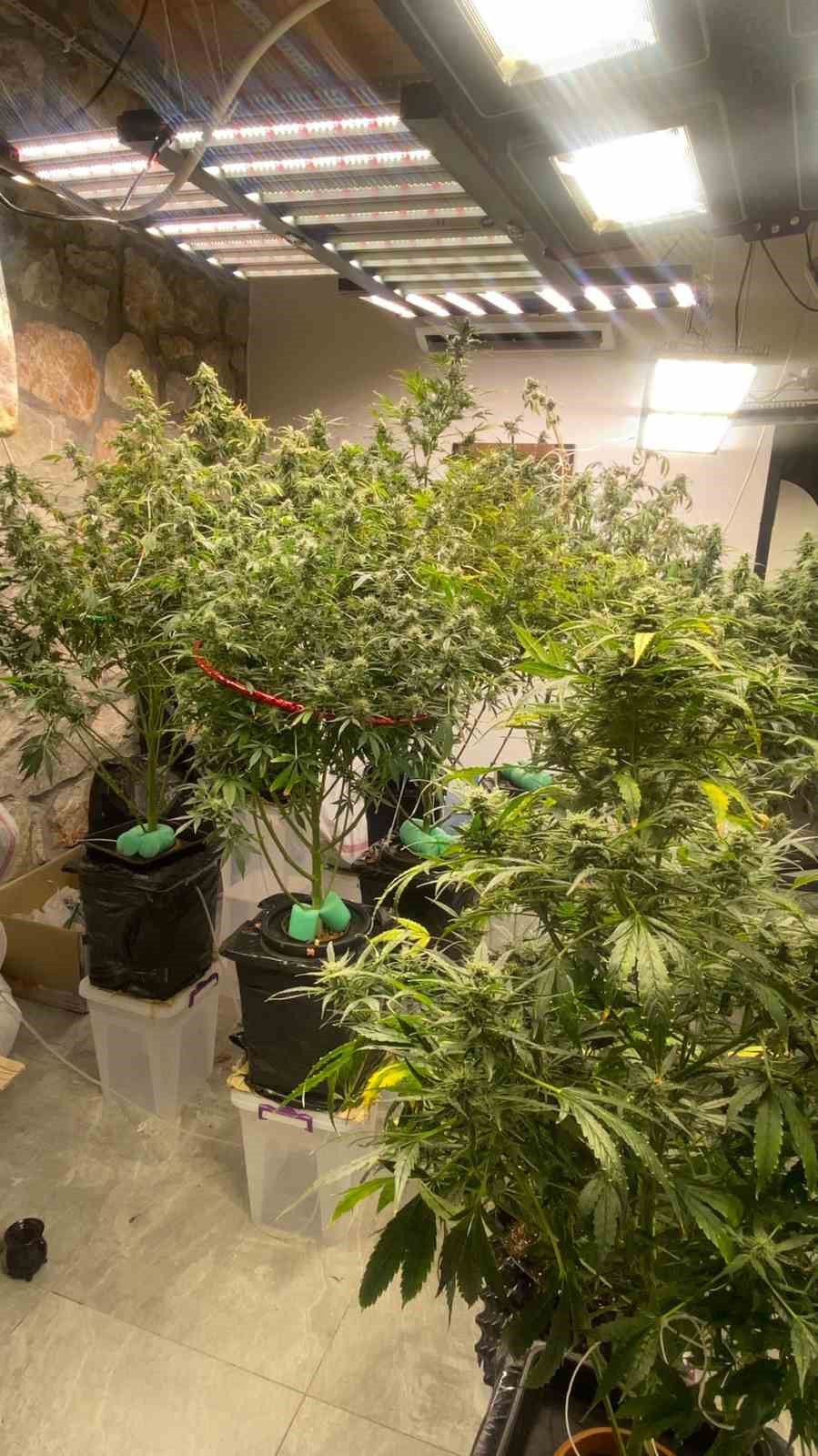 Fethiye’de uyuşturucu operasyonu: 5 tutuklama