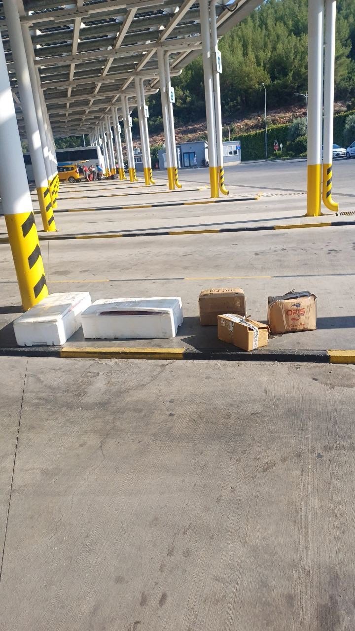 Muğla otobüs terminalinde sahipsiz midyelere el konuldu