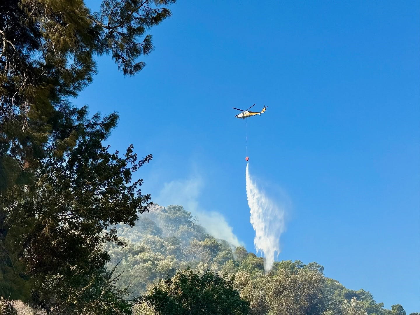Ortaca Sarıgerme’deki orman yangını kontrol altına alındı