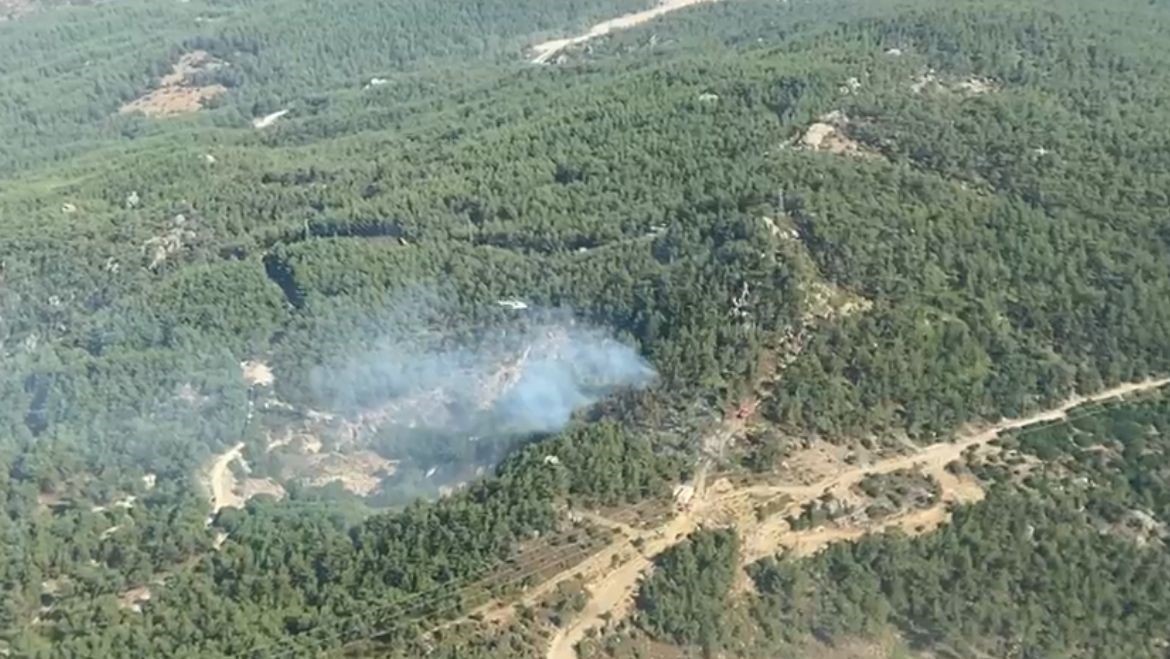 Muğla Milas’ta ormanlık alanda yangın