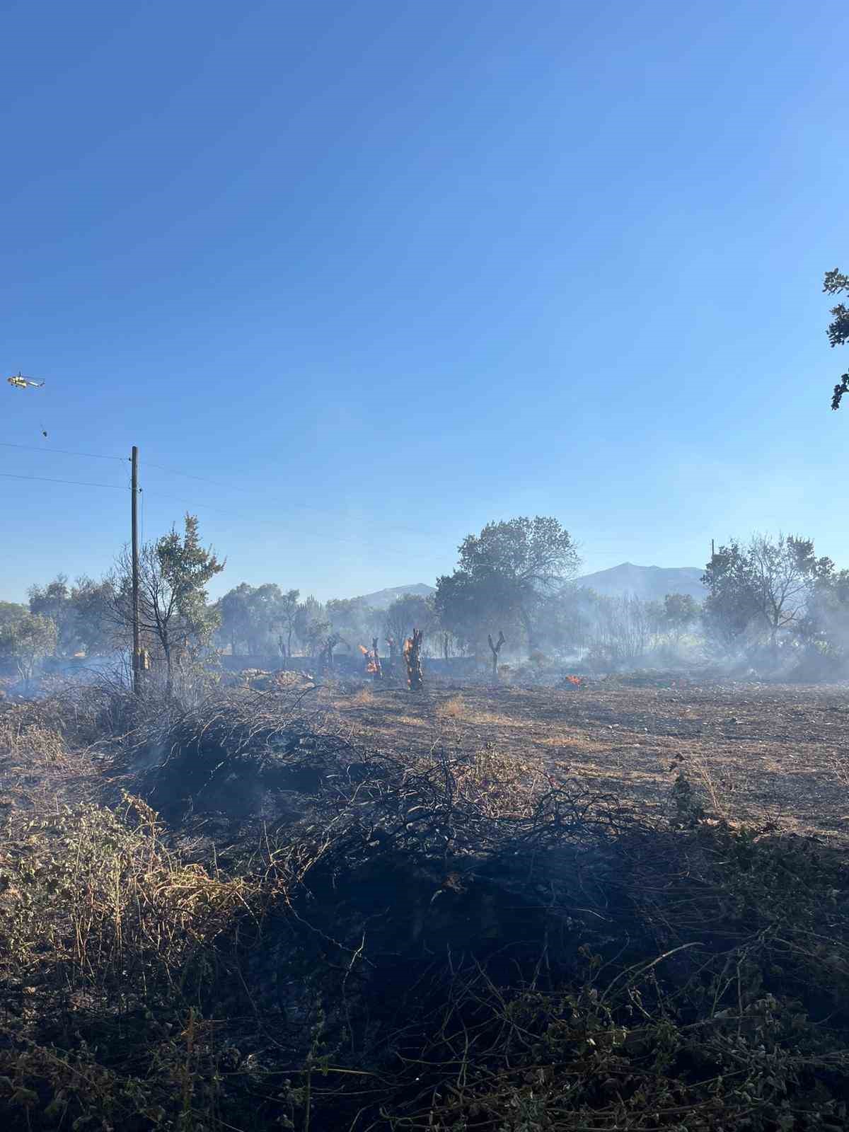 Yatağan’da tarlada çıkan yangın ekipler tarafından söndürüldü