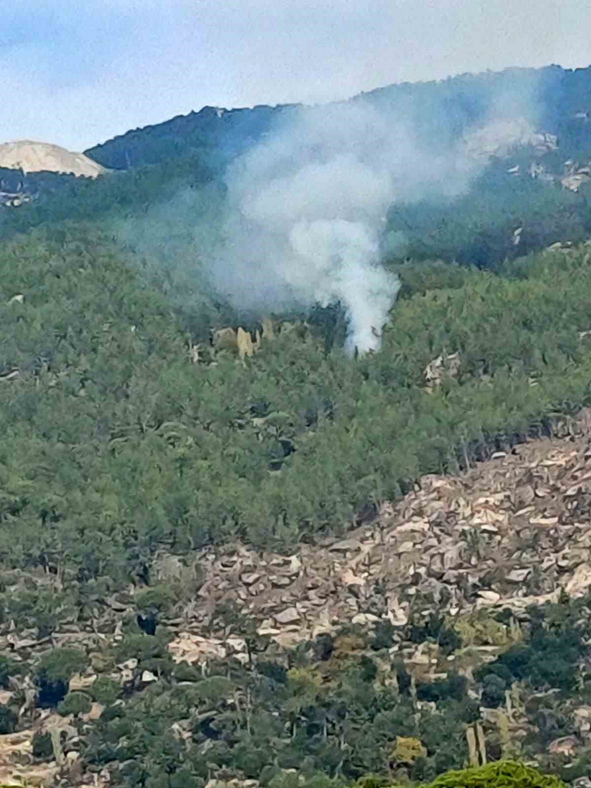 Kavaklıdere’de orman yangını