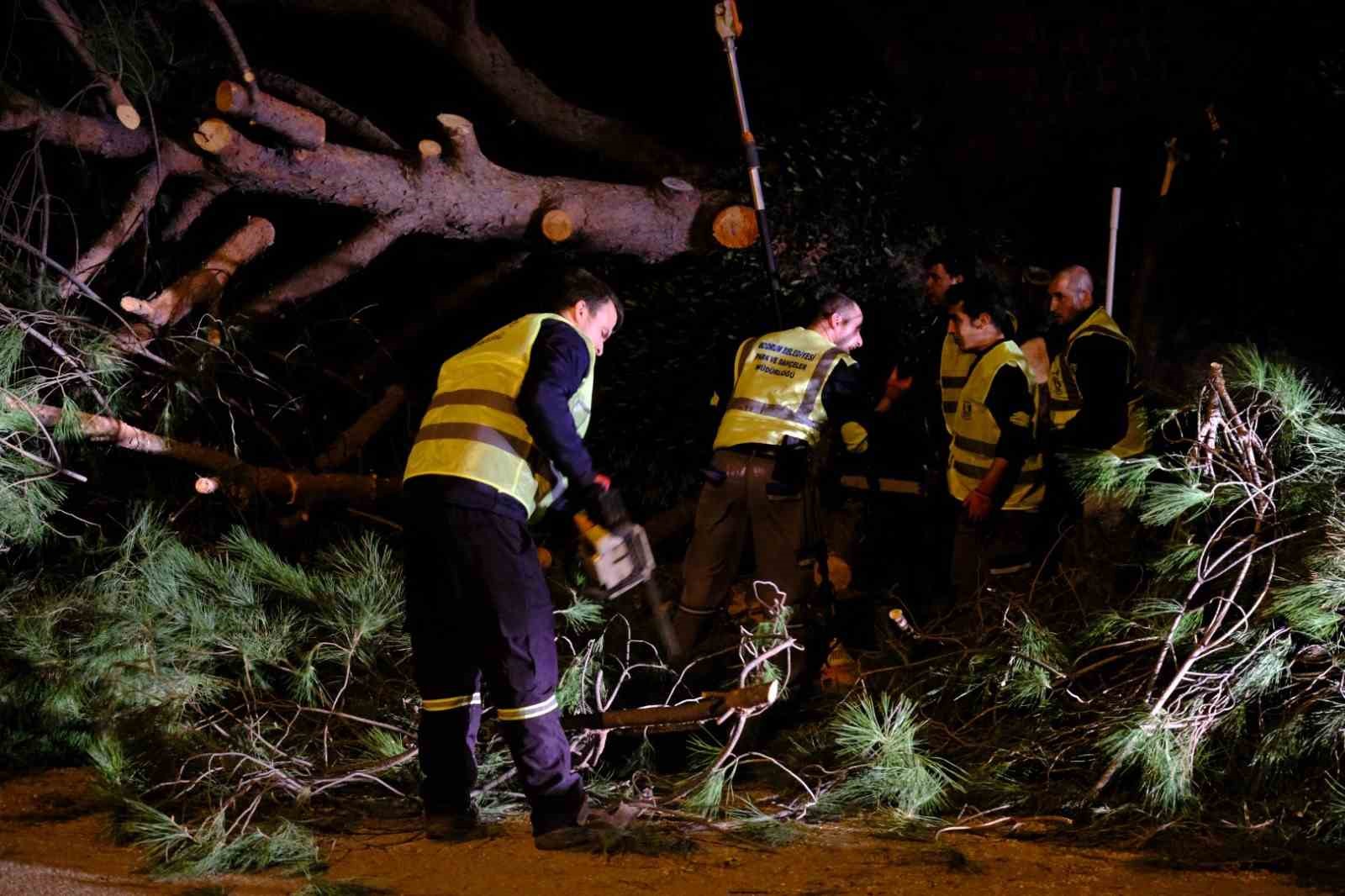 Bodrum Belediyesi fırtına dinlemedi