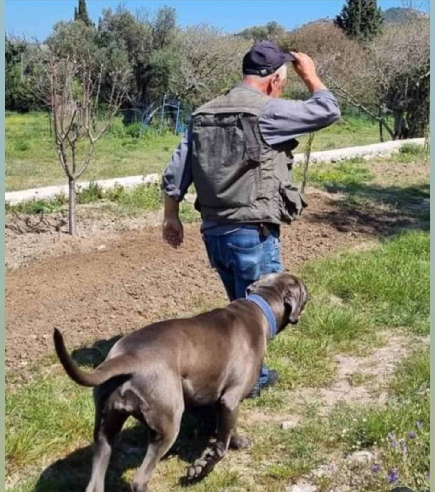 Hayvanların değişmeyen kaderi