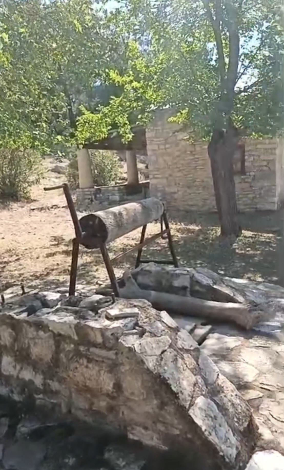 Antik Kentin içler acısı hali