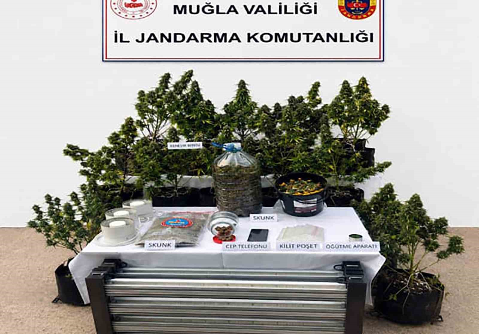 Jandarmadan uyuşturucuya geçit yok