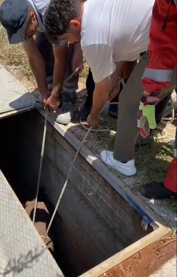 Havalandırma boşluğuna düşen eşek kurtarıldı