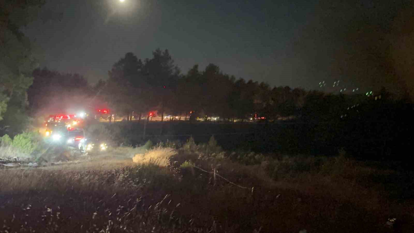 Fethiye’de Yeşilüzümlü Mahallesinde orman yangını başladı