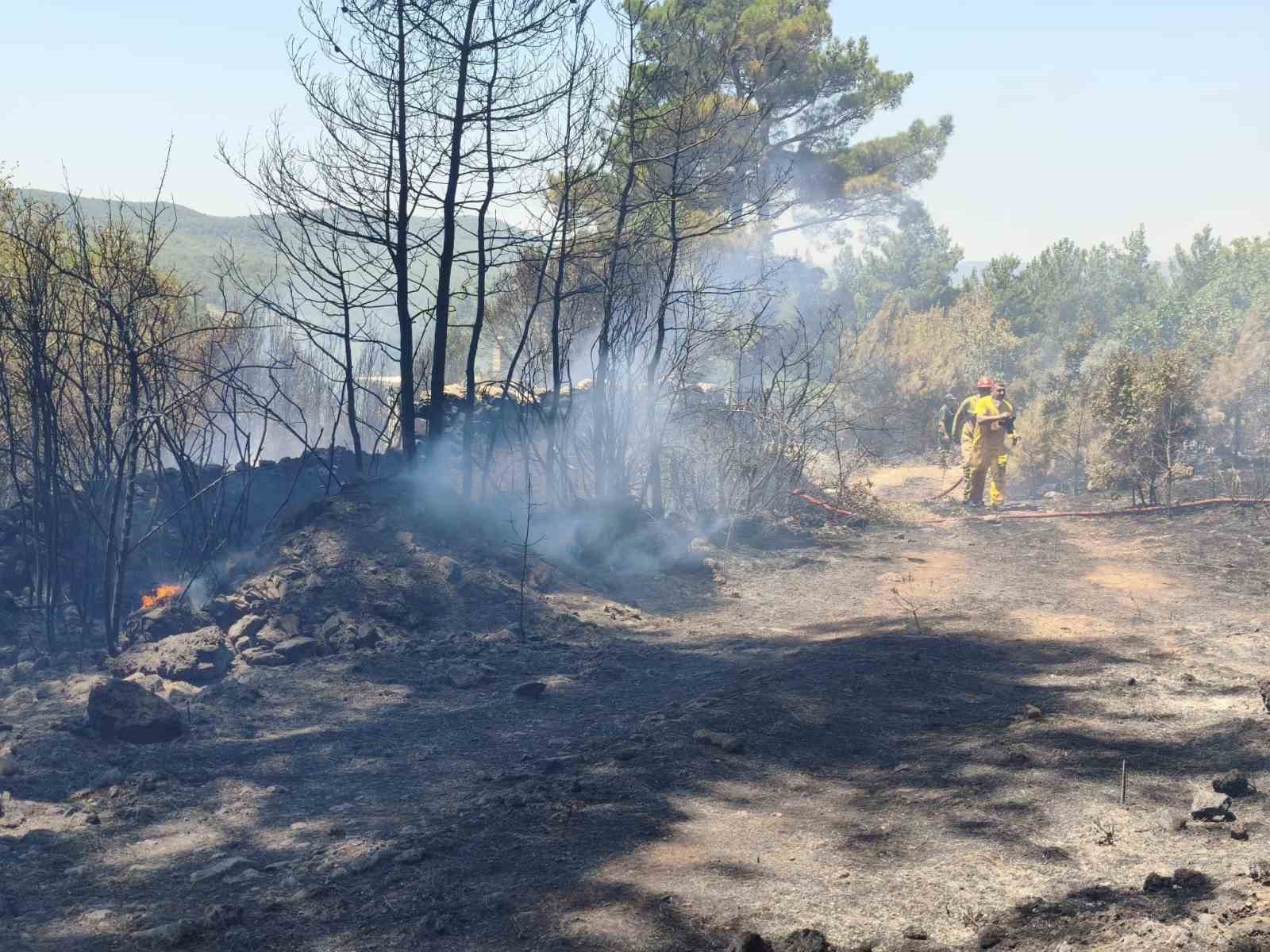 Menteşe’deki yangın kontrol altındı