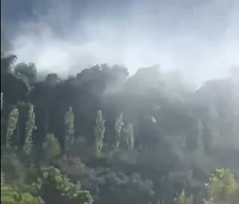 Seydikemer’de orman yangını