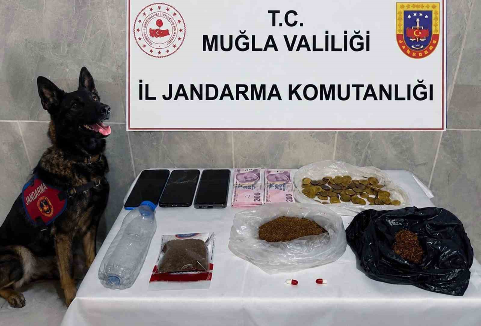 Jandarma KOM ekiplerinden Temmuz’da 24 operasyon