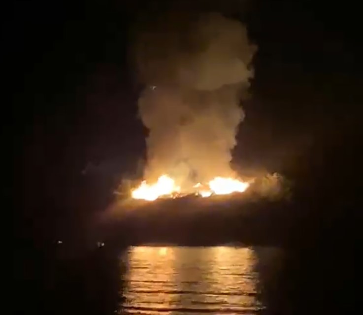 Marmaris’te orman yangını