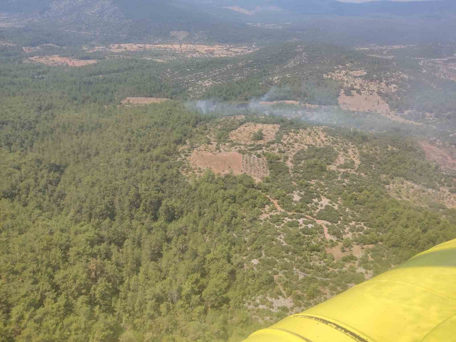 Muğla’da orman yangını kontrol altına alındı