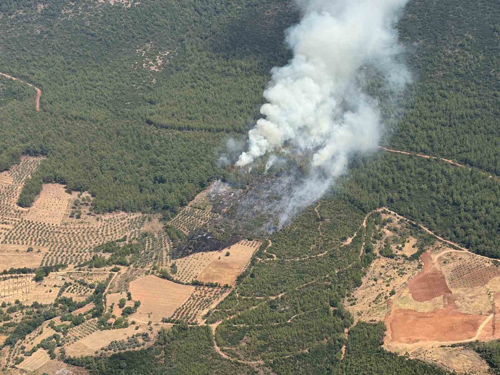 Yatağan’da zirai alanda başlayan yangın ormana sıçradı